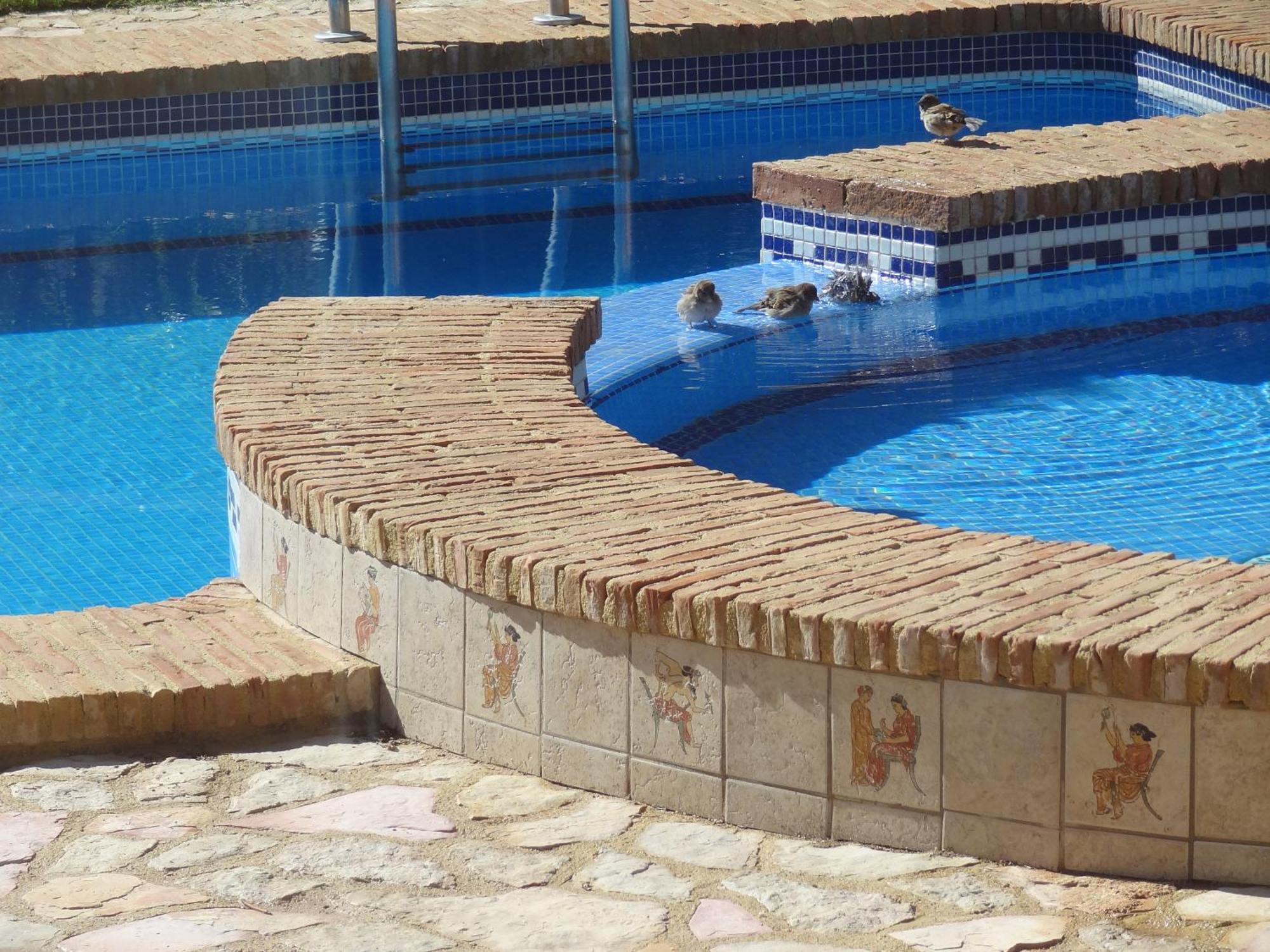 Villa Clairol Los Gallardos Exteriör bild